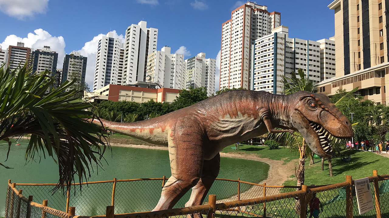Avistamento feito por um morador da região